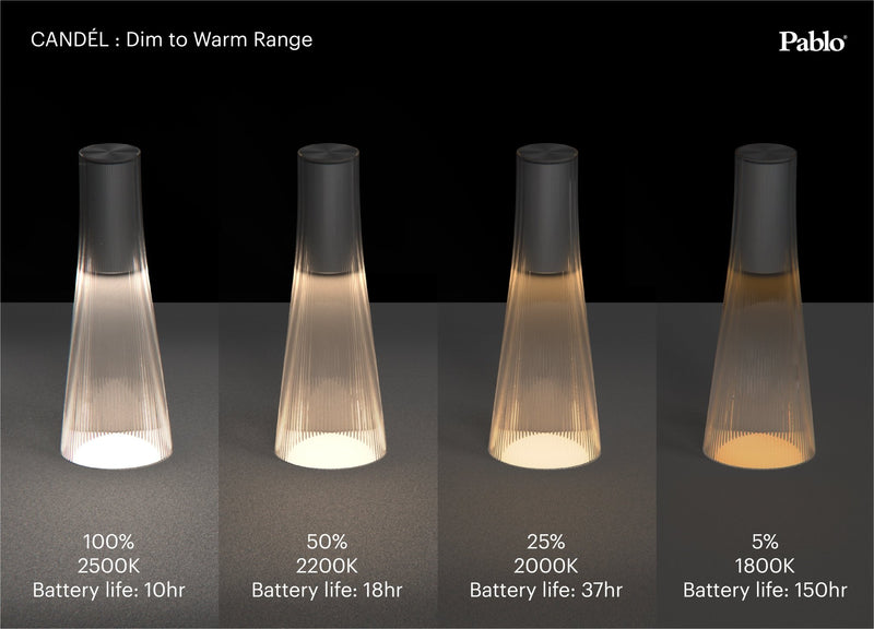 Candél - Pablo Designs - Outdoor Lights - Smoke/Black - HORNE