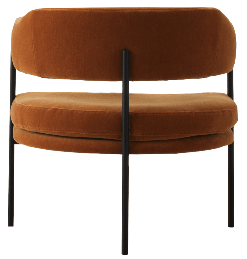 Isabella Chair - Resident - Chairs - Synergy - LDS84 - HORNE