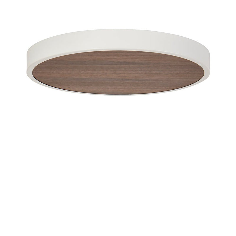 Large Canopy - Tala - Black Ash - HORNE