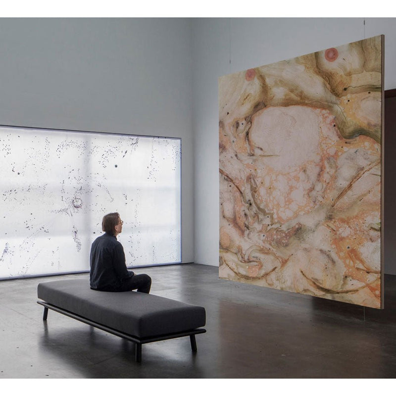 Nikari's Linea Daybed Bench with a cushion included. Perfect for a museum gallery or your home