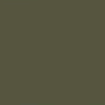 Olive Green - RAL6003