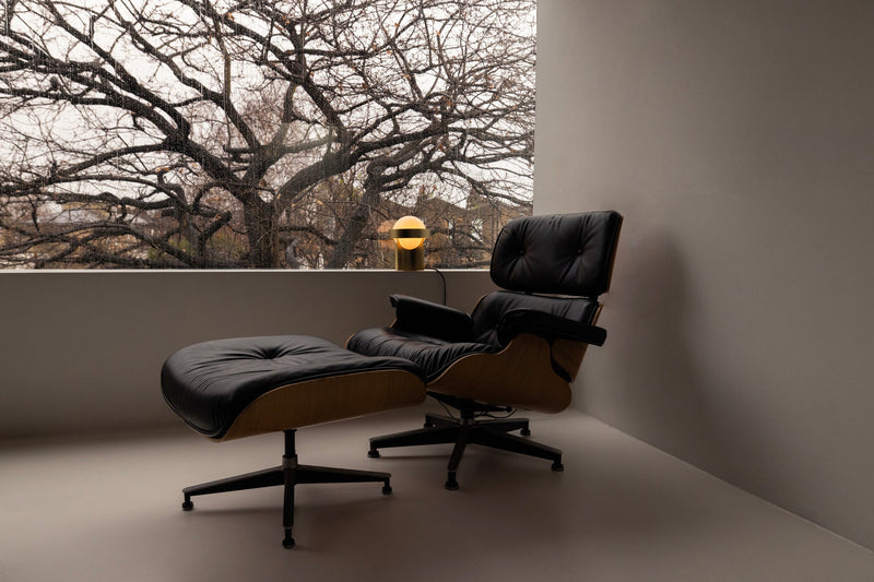 Loop Table Lamp w/ Sphere IV Bulb - Tala - Dark Grey - HORNE