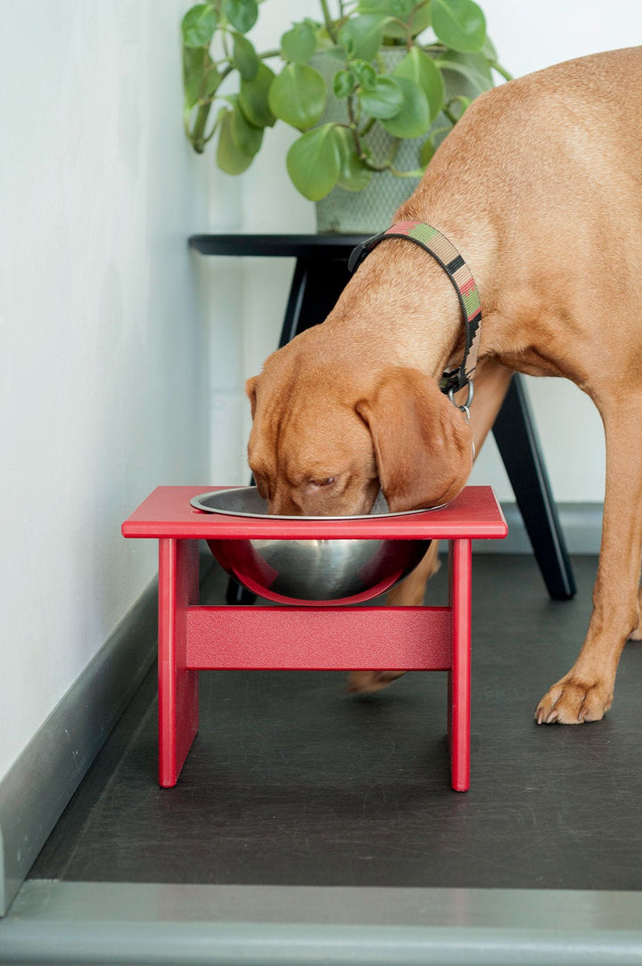 Minimalist Single Dog Bowl - Medium - Loll Designs - Outdoor Accessories - Driftwood - HORNE