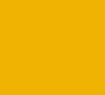 Swatch, Color: Mustard