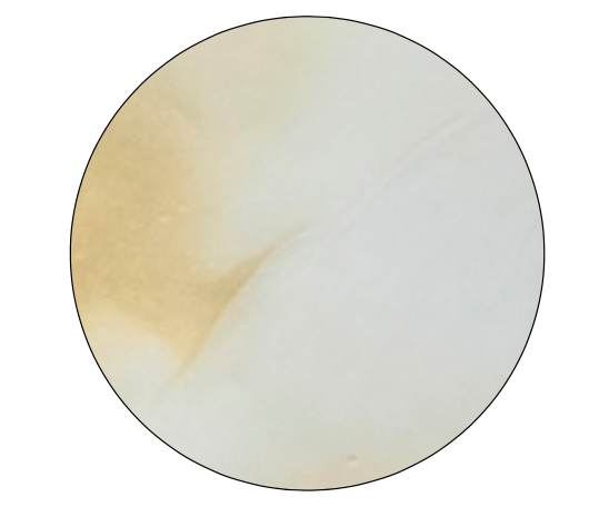 Myrna Hanging Pendant Light - Glass and Brass