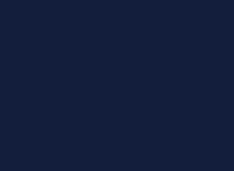 Swatch, Color: Navy
