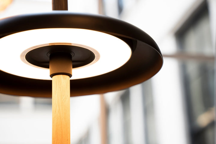 Nivél Floor Lamp - Pablo Designs - Floor Lamps - Walnut - White - HORNE