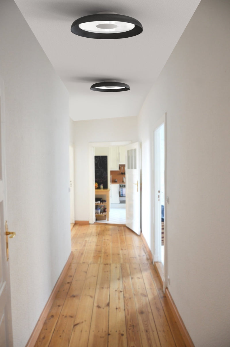 Nivél Flush 15 Wall/Ceiling Lamp - Pablo Designs - Wall Sconces - Black - HORNE