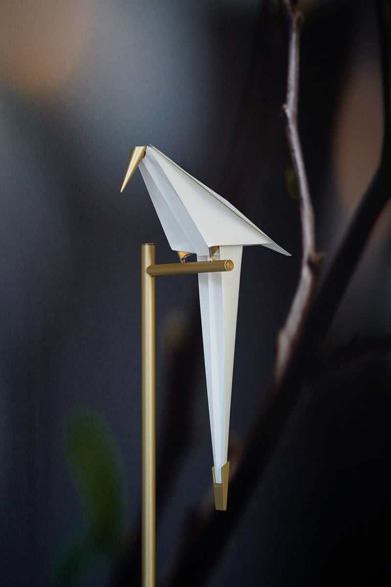 Perch Light Floor Lamp - Moooi - Floor Lamps - HORNE