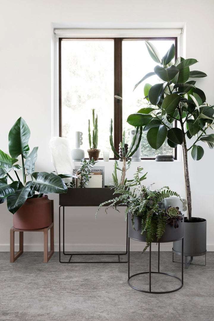 Plant Box - Ferm Living - Office Accessories - Straw - HORNE