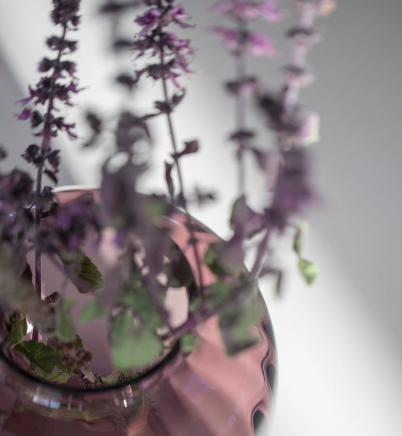 Primula Vase - Plum - Holmegaard - Vases - HORNE