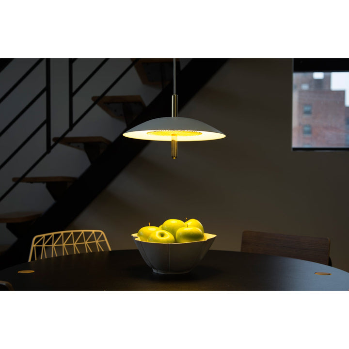 Signal Pendant Light