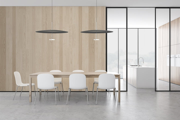 Sky Dome Pendant - 24" - Pablo Designs - Pendants - Black - HORNE