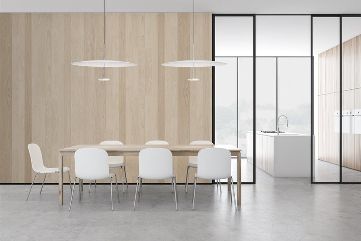 Sky Dome Pendant - 24" - Pablo Designs - Pendants - Black - HORNE