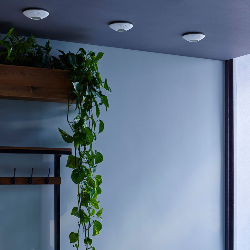 Sopra Downlight - Original BTC - Ceiling Lights - Plain - HORNE