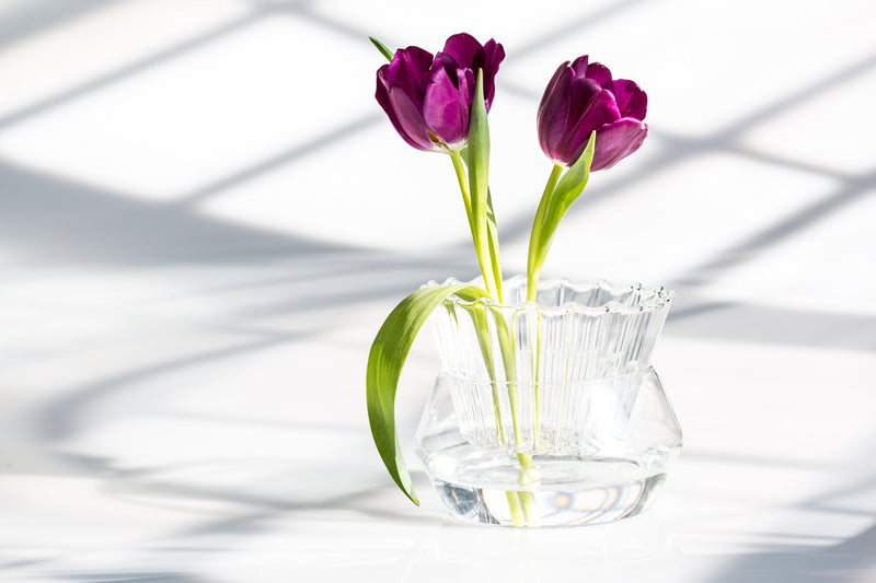 Splash Vase - Fferrone Design - Vases - HORNE