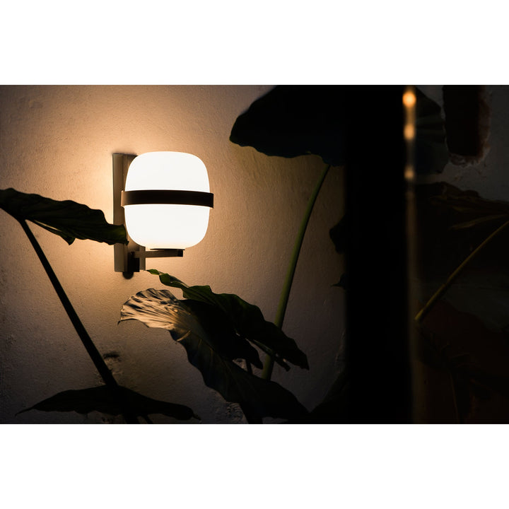 Wally Wall Sconce