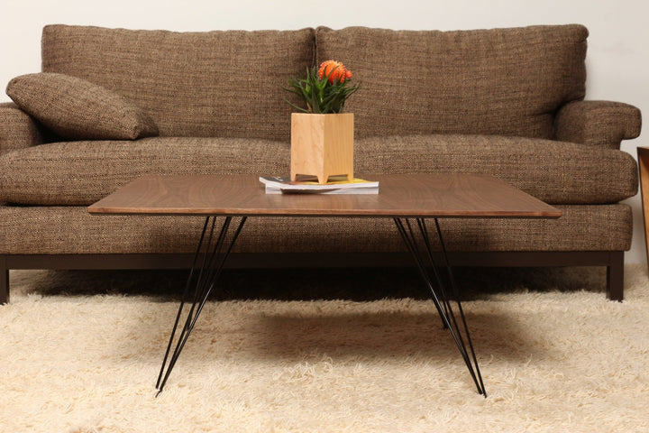 Williams Coffee Table - Small Rectangle - Tronk - Tables + Desks - Walnut - Brassy Gold - HORNE